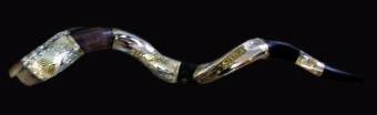 Shofar2